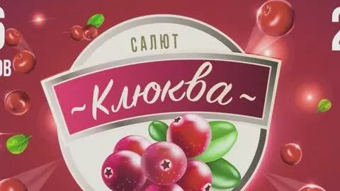 салют КЛЮКВА 16 залпов